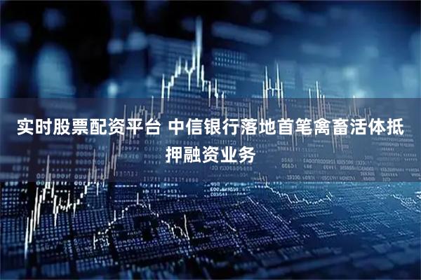 实时股票配资平台 中信银行落地首笔禽畜活体抵押融资业务