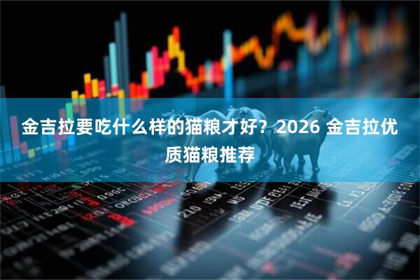 金吉拉要吃什么样的猫粮才好？2026 金吉拉优质猫粮推荐