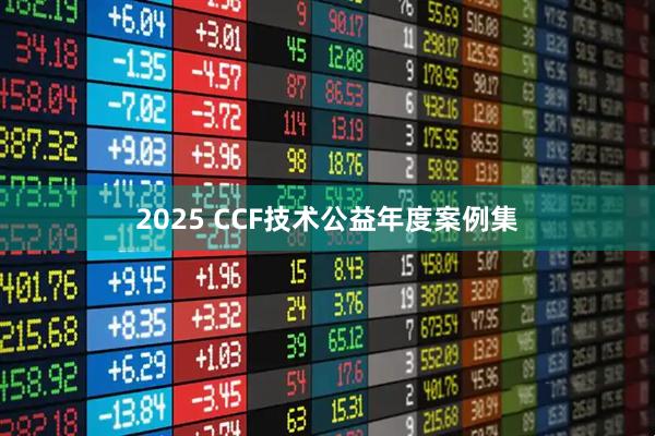 2025 CCF技术公益年度案例集