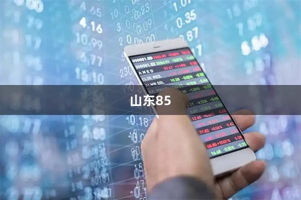 山东85